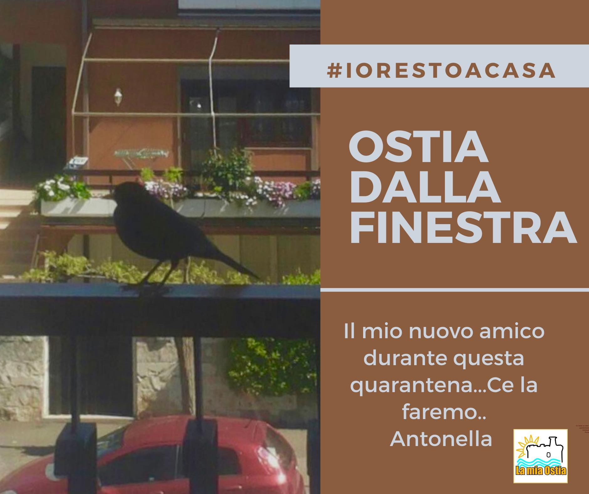 Ostia dalla finestra: mese di aprile